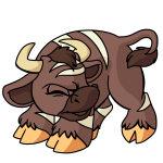 Brown Kau