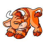 Orange Kau