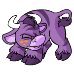 Purple Kau