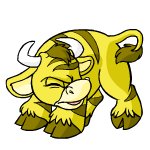 Yellow Kau