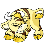 Yellow Kau
