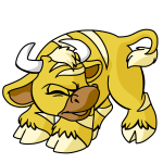 Yellow Kau