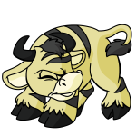 Yellow Kau