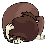 Brown Kitzen