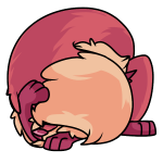 Pink Kitzen