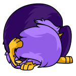 Purple Kitzen