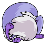 Purple Kitzen