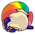 Rainbow Kitzen