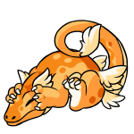 Orange Kohmo
