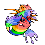 Rainbow Koi