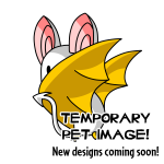 Island Korbat