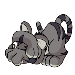 Ashen Kougra