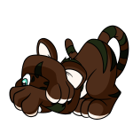 Brown Kougra