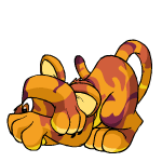 Camouflage Kougra