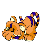 Orange Kougra