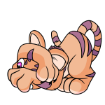 Orange Kougra