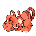 Orange Kougra