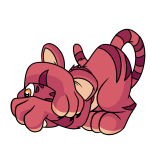 Pink Kougra