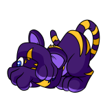Purple Kougra