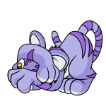 Purple Kougra