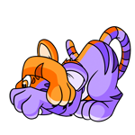 Split Kougra