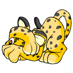 Spotted Kougra