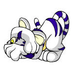 White Kougra