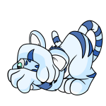 White Kougra