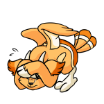 Orange Lulamu