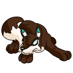 Brown Lupe