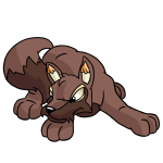 Brown Lupe