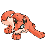 Orange Lupe