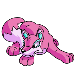 Pink Lupe