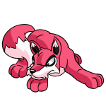 Pink Lupe