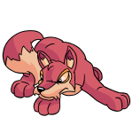 Pink Lupe