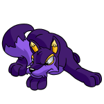Purple Lupe