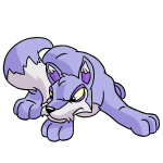 Purple Lupe