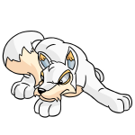 White Lupe