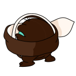 Brown Meerca