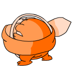 Orange Meerca