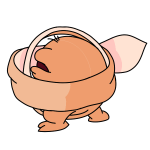 Orange Meerca