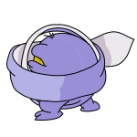 Purple Meerca