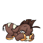 Brown Moehog