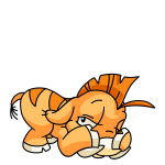Orange Moehog