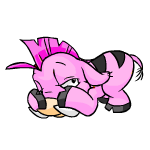 Pink Moehog
