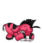 Pink Moehog