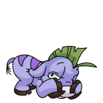 Purple Moehog