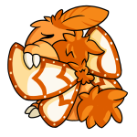 Orange Motere