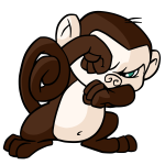 Brown Mynci