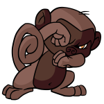 Brown Mynci